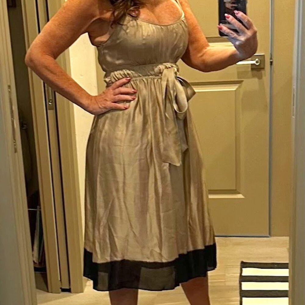 Banana Republic silk two toned Dress